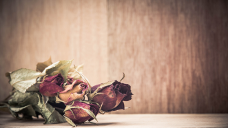 Don't Let These Myths Disrupt Your Digital Health Strategy