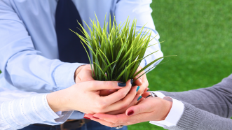 Beyond Launch: Why Scale-up is the Secret to Start-up Success