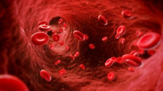 New algorithm to predict clinical response to anti-cancer drugs