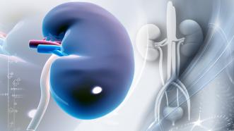 3D Printed Artificial Kidneys Created By UConn Students