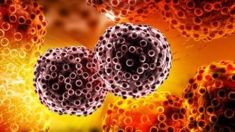 Study: Cancer in 3D