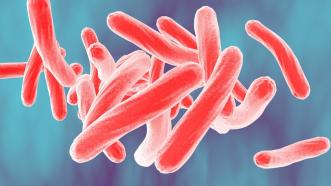 Fighting drug-resistant TB with big data—in the jungle